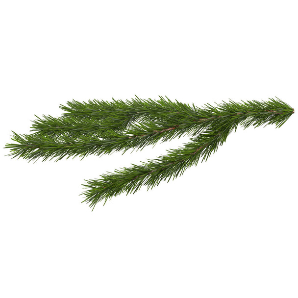 Christmas tree branch, isolated on white background, 3d render - Photo, Image