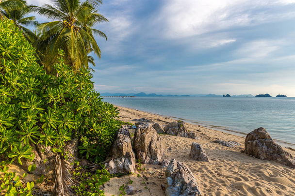 Sea, rocky beach and tropical plants - Foto, afbeelding
