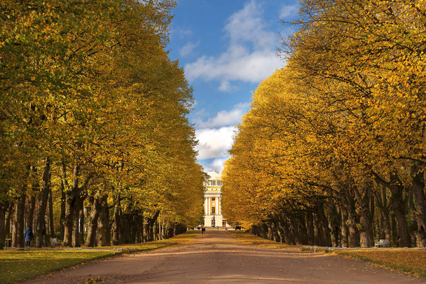 パヴロフスク公園, サンクトペテルブルク, ロシア連邦の秋の風景 - 写真・画像