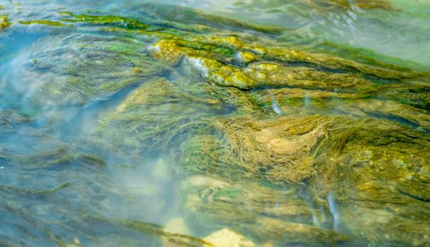 Zelené řasy pod vodou tažené potůčkem - Fotografie, Obrázek