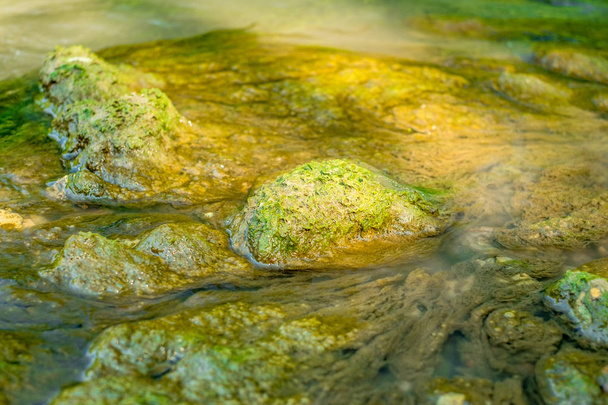Zelené řasy pod vodou tažené potůčkem. - Fotografie, Obrázek