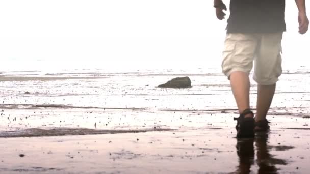 Man on Beach - Footage, Video
