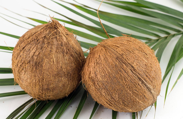 Noix de coco entières sur feuilles de noix de coco sur blanc
 - Photo, image