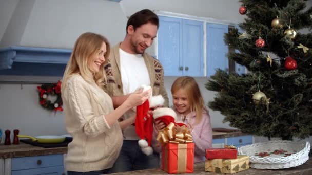 Family celebrating Christmas and New Year - Filmmaterial, Video