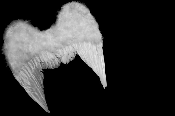 ángel - Foto, imagen