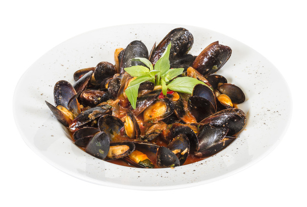 close up on mussels on white background - Photo, Image
