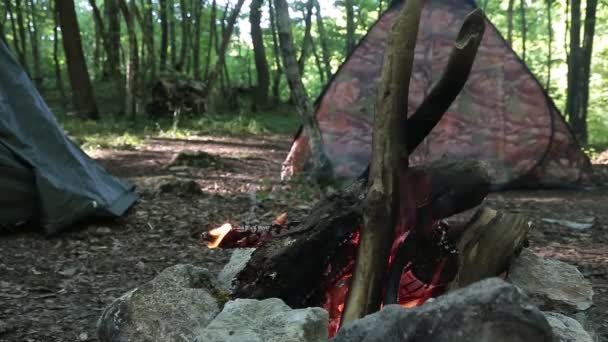 Big bonfire fire on wild nature background with stones. Close-up travel, adventure hot and bright flame light. Cozy evening in the forest outdoors. Burning wooden firewood, log, timber. - Footage, Video