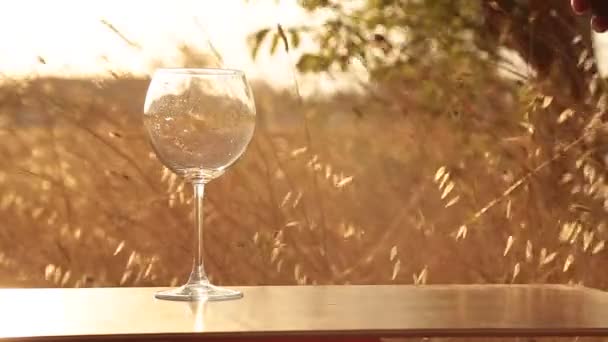 Sklenice bílého vína na dřevěném stole na pozadí savanny západu slunce - Záběry, video