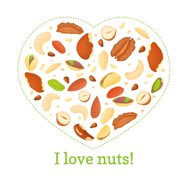 Heart colored frame composed of different nuts brazil, cashew, peanut, pecan, pine, pistachio. Vector card illustration.  with place for your text packaging design element - Vector, Image