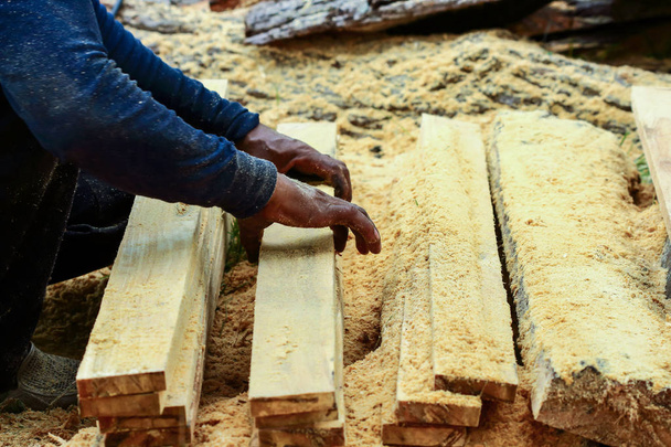 madeira para construção ou industrial
 - Foto, Imagem