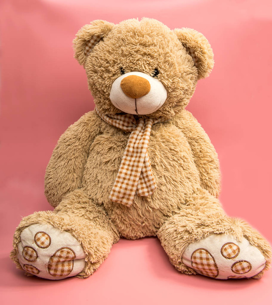 Plyšová hračka medvěd, izolované - Fotografie, Obrázek