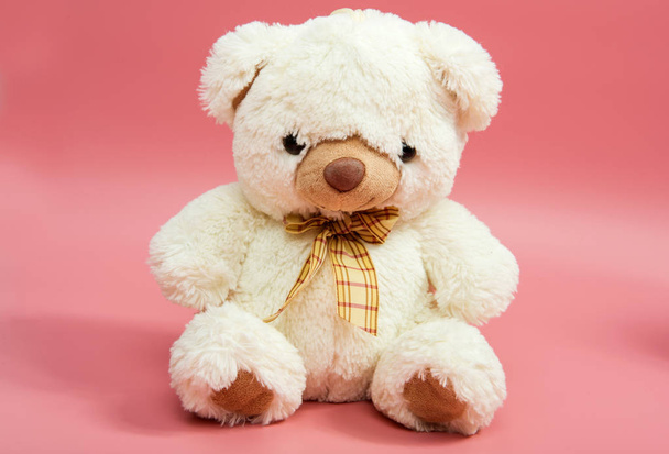 Bear soft toy, isolated - Φωτογραφία, εικόνα