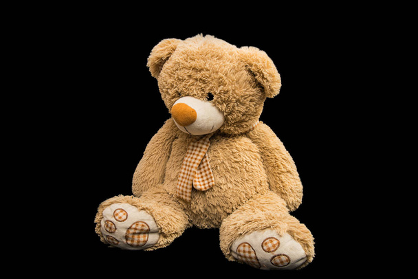 Ведмідь м'яка іграшка ізольована
  - Фото, зображення