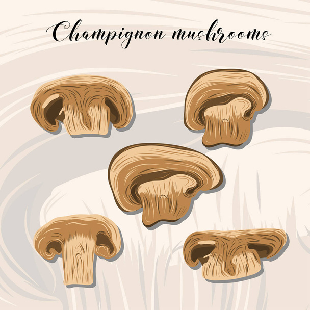 Cogumelos de champignon fritos em fundo colorido
. - Vetor, Imagem