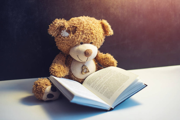 Spielzeugbär liest ein interessantes Buch. Konzept des Baby-Lernens - Foto, Bild