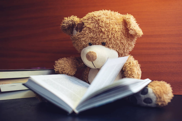 おもちゃのクマは、面白い本を読んでします。赤ちゃんの学習の概念 - 写真・画像