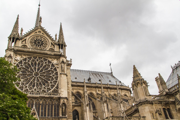 Notre Dame (París)
) - Foto, imagen