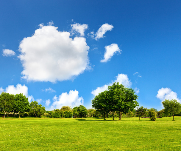 groen gras op een golf-veld - Foto, afbeelding