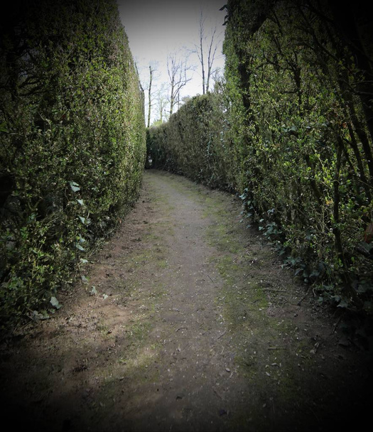 narrow dead end street in the maze - Photo, Image