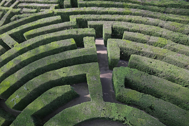labyrinthe complexe et complexe de haies
 - Photo, image