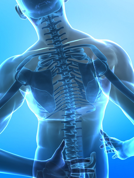 背骨の痛みの概念 - 写真・画像
