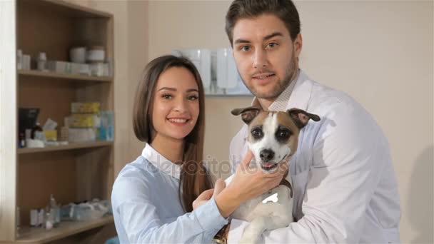 男性の獣医は、犬とその飼い主とポーズします。 - 映像、動画
