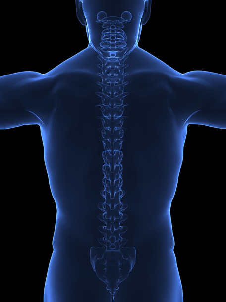 Vue des rayons X du corps
 - Photo, image