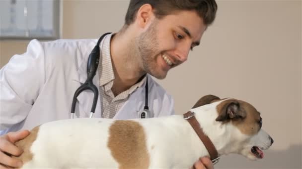 Αρσενικό ΕΕΚ κρατώντας το σκυλί στον κτηνίατρο πίνακα - Πλάνα, βίντεο