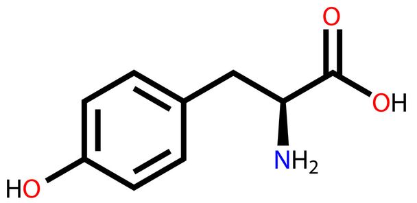 αμινοξύ τυροσίνη συντακτικός τύπος - Διάνυσμα, εικόνα