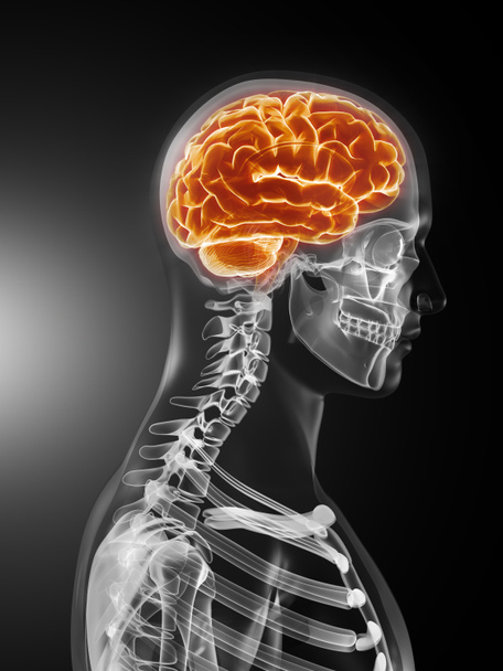 ανθρώπινος εγκέφαλος ιατρική σάρωση - Φωτογραφία, εικόνα