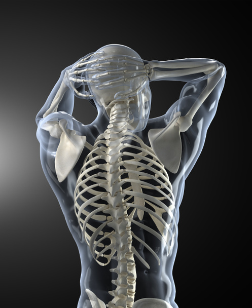 Медицинское сканирование человеческого тела
 - Фото, изображение