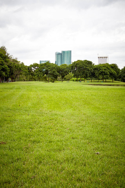 Parque da cidade, parque da cidade em Vachirabenjatas Park (Rot Fai Park) Bangkok, Thailan
 - Foto, Imagem