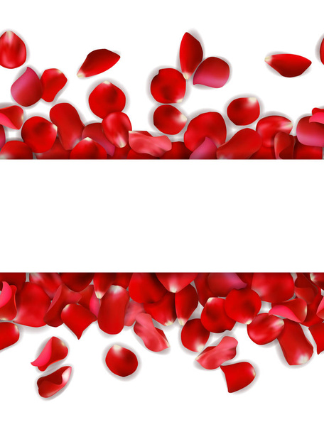 nahtloses Banner aus roten, rosa Rosenblättern auf weißem Hintergrund, Vektorillustration - Vektor, Bild