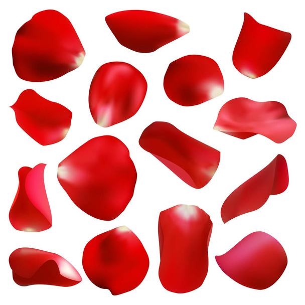 Red rose petals set, isolated on white, vector illustration - Vector, Image