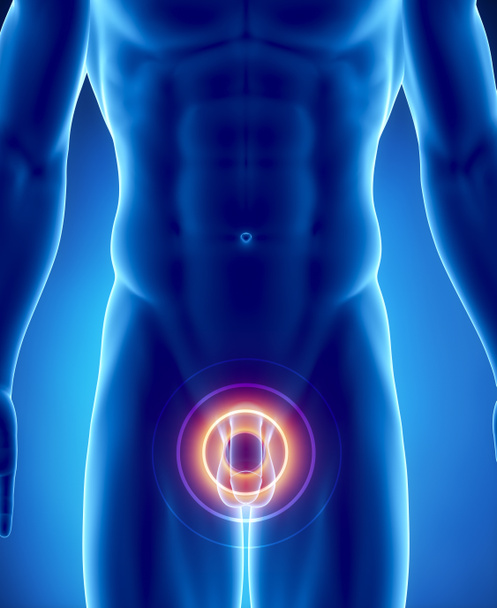 Pain in urogenital organs - Photo, Image
