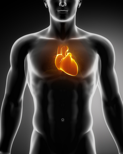 lidské srdce zářící v prsou - Fotografie, Obrázek