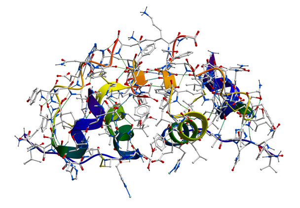 insuline moleculaire structuur - Foto, afbeelding