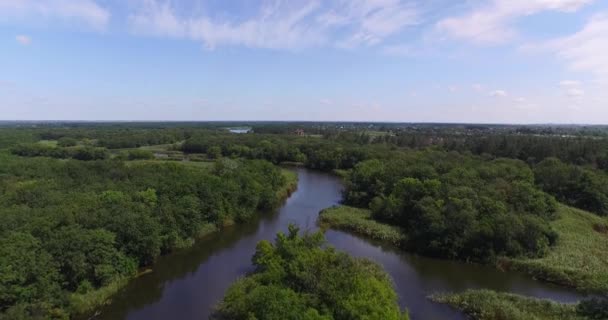 Flying over a small river with tributaries surrounded by forest - Imágenes, Vídeo