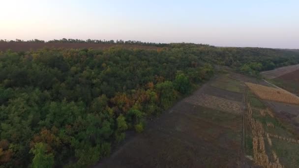 Nature Ukraine. Fields, vegetable gardens, trees. Shooting copter - Materiał filmowy, wideo