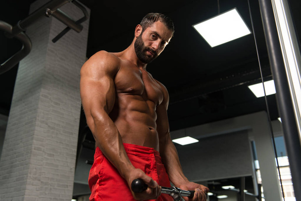 Powerful Muscular Man Exercising Biceps On Cable Machine - Photo, Image