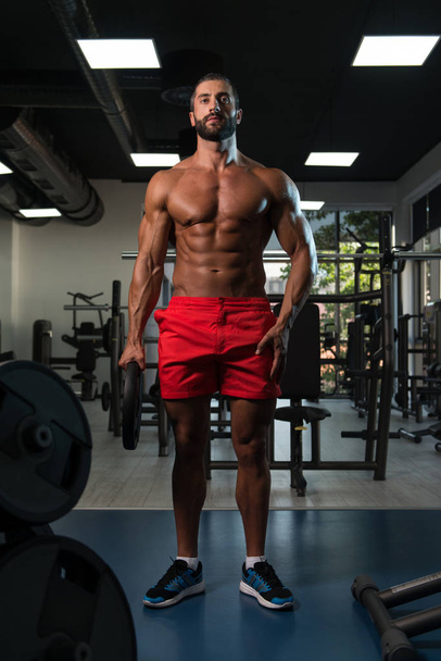 Bodybuilder Holding Weights In Hand - Photo, image