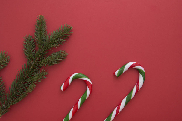 Χριστουγεννιάτικο φόντο με έλατο twings και καραμέλα καλάμια στο κόκκινο. Κάτοψη, επίπεδη lay. Χώρο αντίγραφο για το κείμενο - Φωτογραφία, εικόνα