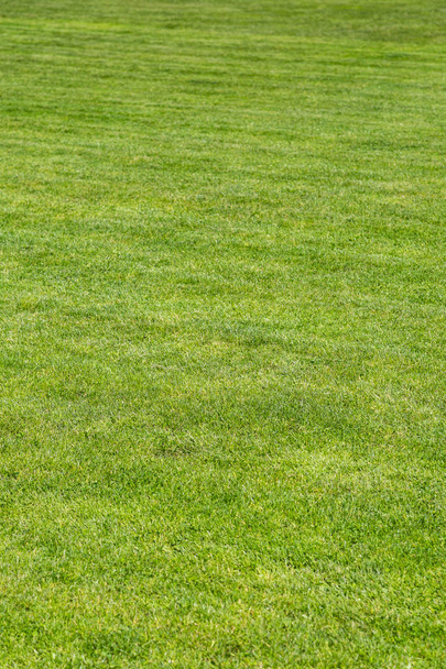 groen gras voetbalveld - Foto, afbeelding