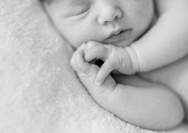 lovely sleepy face and hands of a newborn baby - 写真・画像