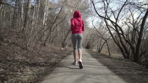 Atlético jovem mulher correndo na natureza
. - Filmagem, Vídeo