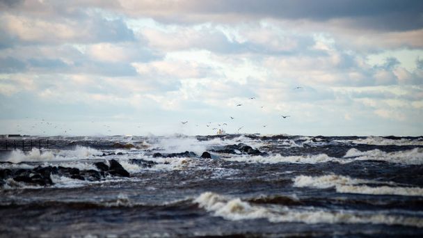 Смертельне море взимку з білими хвилями дроблення
 - Фото, зображення