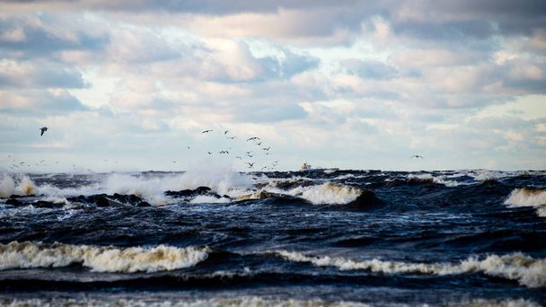 Φουρτουνιασμένη θάλασσα χειμώνα με λευκά κύματα σύνθλιψη - Φωτογραφία, εικόνα