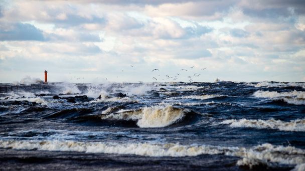 Штормовое море зимой с белыми волнами, сокрушающими
 - Фото, изображение