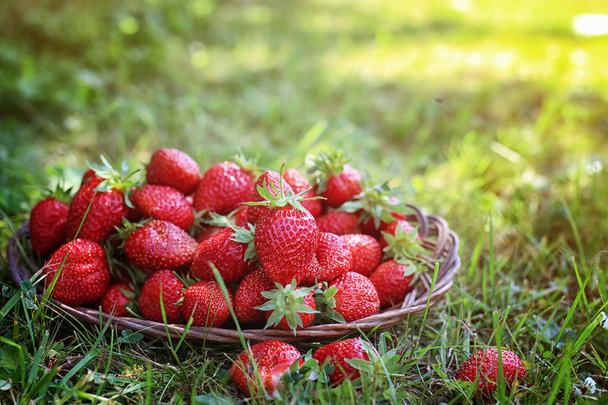 Strawberry on wicker bag outdoor - Φωτογραφία, εικόνα