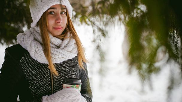 Portrait of cute woman in white scarf and hat knitted coat on outdoors background of snow and blurred fir branches in winter. - Φωτογραφία, εικόνα